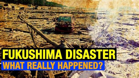 10 years of Fukushima disaster: What really happened? - World News