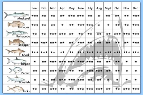 Keys fishing first week of March - The Hull Truth - Boating and Fishing Forum