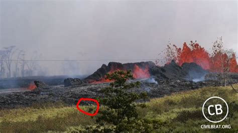 Lava causes brush fire in Hawaii - Wildfire Today