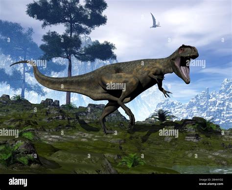 Giganotosaurus fossil hi-res stock photography and images - Alamy