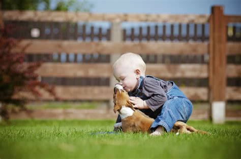 Bebés y perros, consejos para una buena relación (I) | Fundación Affinity