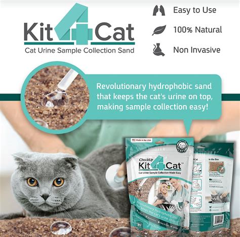 KIT4CAT Cat Urine Sample Collection Kit Urine Testing for Cats, 2-lb ...