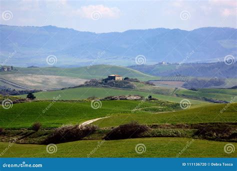 Lajatico Tuscany Italy stock photo. Image of green, beautiful - 111136720