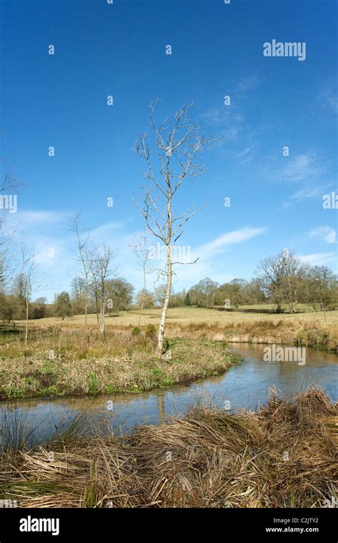 The River Rye flowing between Upper and Lower Slaughter, the Cotswolds ...