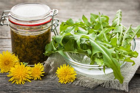 Benefits of Bitter Herbs for Good Digestion | Home Herbalism Courses