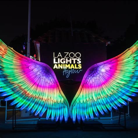 two large colorful wings with the words la zoo lights animals above them