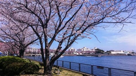 Que visitez à Yokosuka Japon ? | Saji Marina Hotel