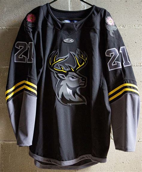 ECHL’s Iowa Heartlanders Unveil New Uniforms – SportsLogos.Net News