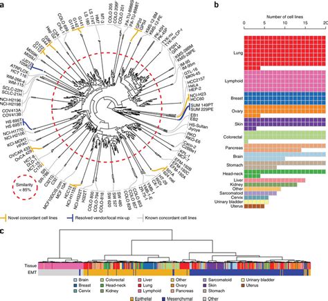 A comprehensive transcriptional portrait of human cancer cell lines | RNA-Seq Blog