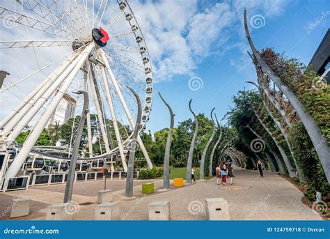 The Wheel of Brisbane in South Bank Parkland, Australia Editorial Stock Photo - Image of march ...