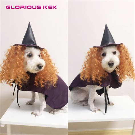 GLORIOUS KEK New Dog Costumes Halloween Purple Wizard Funny Dog Clothes ...