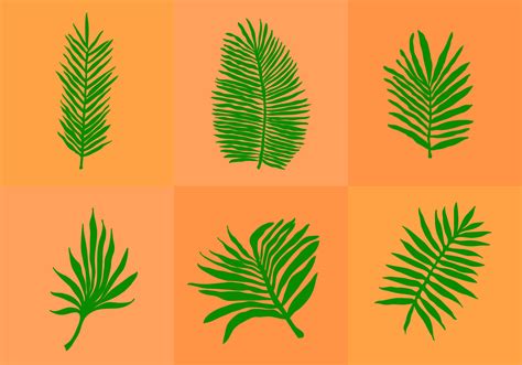 Palm Leaf Isolated - Download Free Vector Art, Stock Graphics & Images