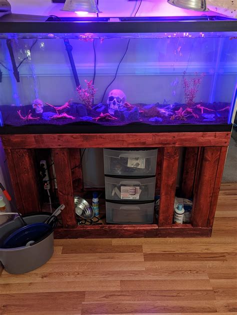 My tank setup basically completdd : r/shrimptank