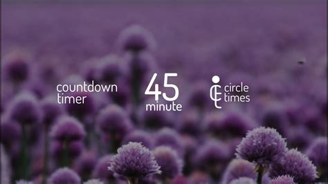 45 Minute Timer With Music - YouTube