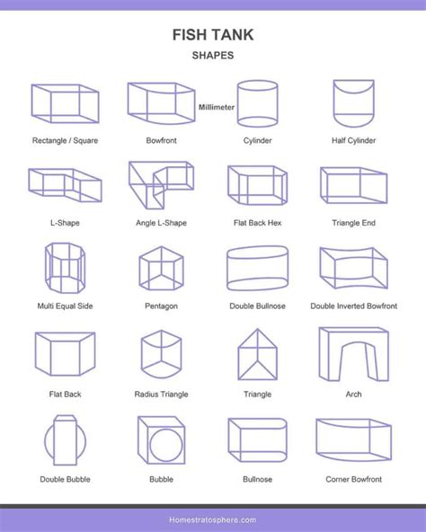 Fish Tank Sizes (Charts & Tables)