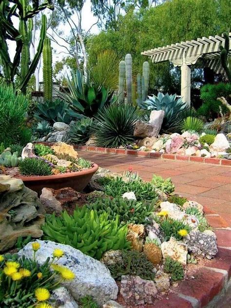 Jardín de cactus y suculentas | Jardines, Jardín de cactus, Suculentas jardin