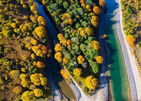 Premium Photo | A river runs through the trees in the fall.