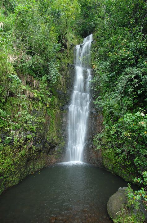 The Best Road To Hana Tour In Maui | Temptation Tours