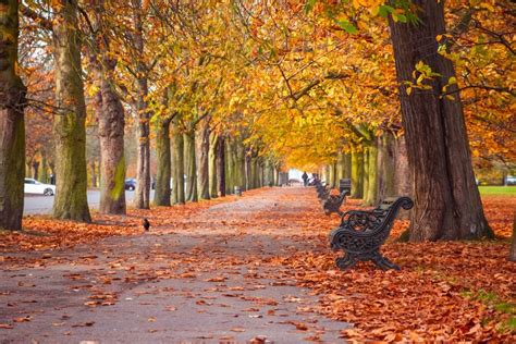 7 Places To See Gorgeous Autumn Leaves In London | St james park london ...