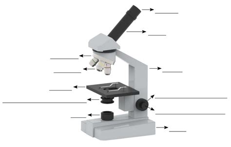 Partes del Microscopio (Funciones y Uso) - Mundo Microscopio