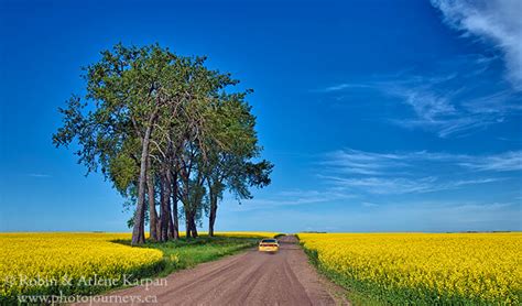 20 Favourite Saskatchewan Landscape Photos from 2020 | Photo Journeys