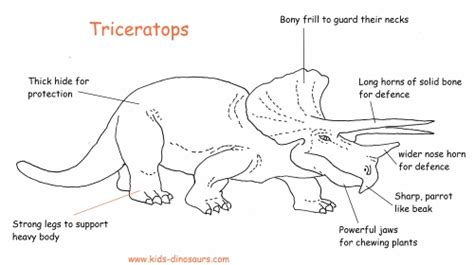 Dinosaurs Triceratops - Facts about the Triceratops Dinosaur.