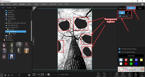 Photoscape x pro tone curve - ibgost