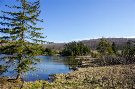 Spruce Knob Lake far shoreline image - Free stock photo - Public Domain photo - CC0 Images