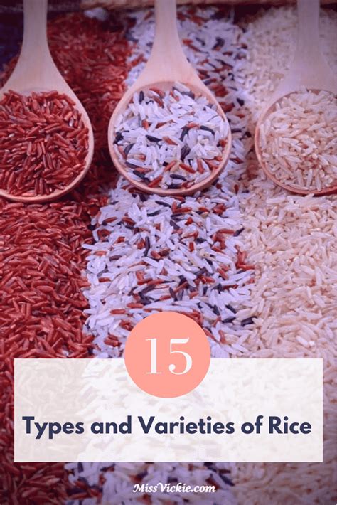 15 Types and Varieties of Rice - Miss Vickie