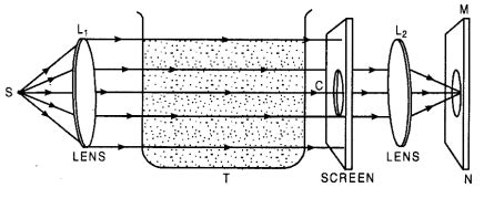 Scattering of light | Homework Help | myCBSEguide