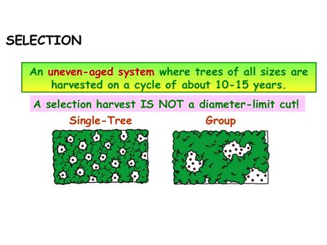 Silvicultural systems