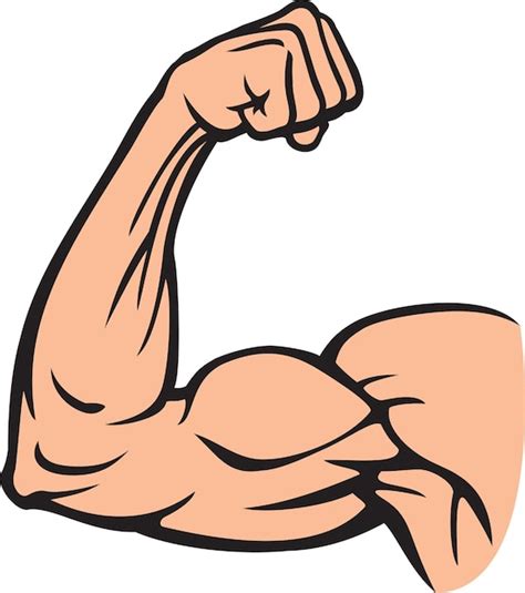 Premium Vector | Biceps muscle flexing