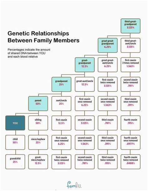 How Much DNA Do Family Members Share? (With Cousin Relationship Chart) - Famlii