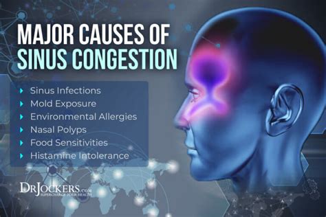 Sinus Congestion: Causes, Symptoms & Support Strategies