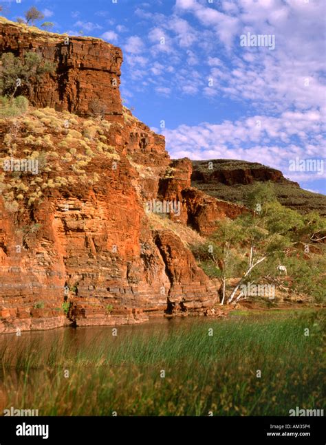 Australia. Western Australia. Hamersley range. Wittenoom gorge Stock Photo: 8647459 - Alamy