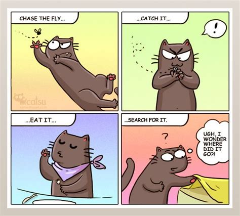 Funny-cat-comics-catsu | Stupid cat, Cat comics, Crazy cats