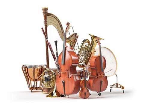 Instruments of the Symphony Orchestra Diagram | Quizlet