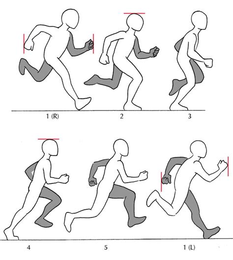 Human Anatomy Fundamentals: Additional Tips | Envato Tuts+