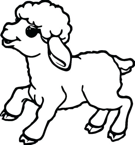 Lamb Line Drawing | Free download on ClipArtMag