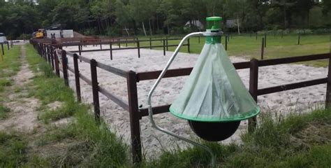 6 Best Fly Traps for Horses (Best Horse Fly Traps) - Equineigh