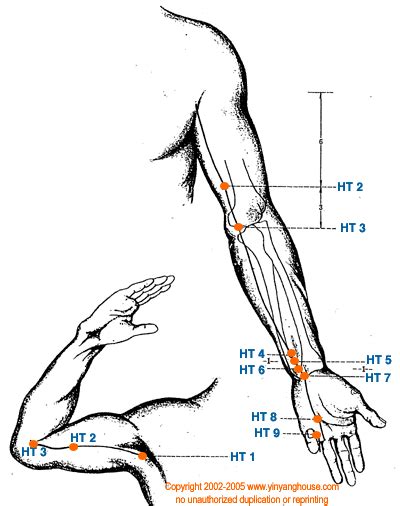 Yin Yang House | Acupuncture Points On The Heart Meridian Acupuncture Points Database