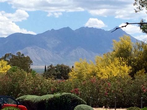 Green Valley, Arizona.... Taken by Janet Carwell... 3/20/2015 | Green valley arizona, Green ...