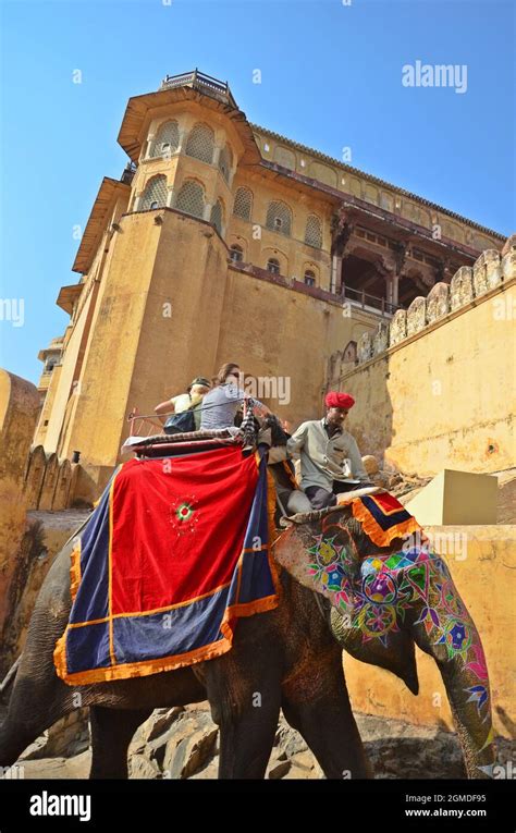 Elephant ride at Amer Fort (Amber Fort) Jaipur,rajasthan,india Stock Photo - Alamy