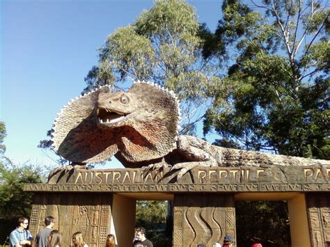 Top 5 Spots to see Australian Wildlife in Sydney | Tourist Destinations