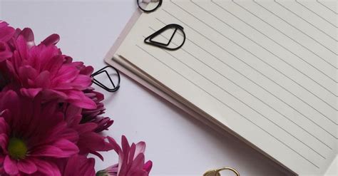 Two Black Binder Clips Beside Purple Flowers · Free Stock Photo