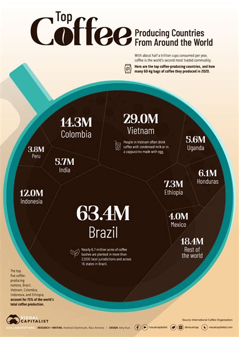 Ranked: The World's Top Coffee Producing Countries in 2021 | Coffee, Coffee organization, World