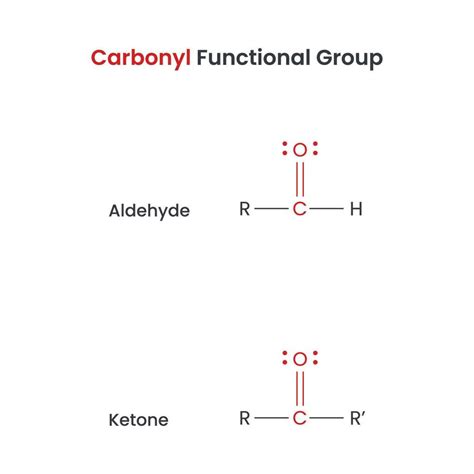 Carbonyl Biochemistry Functional Groups Aldehyde and Ketone vector science infographic 20561304 ...