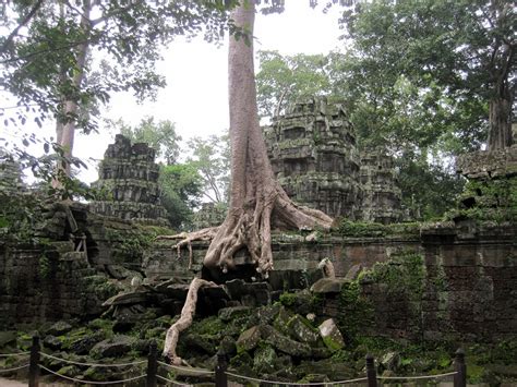 A Visit to the Jungle Temple at Angkor Wat