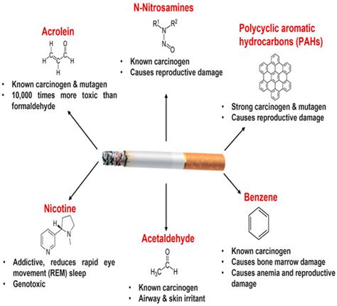 Biomolecules | Free Full-Text | Lung Organoids in Smoking Research ...