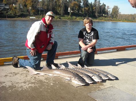 Sturgeon Fishing: Willamette River sturgeon fishing November 2010